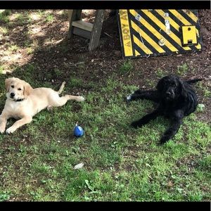 Meet your Posher, Nikki